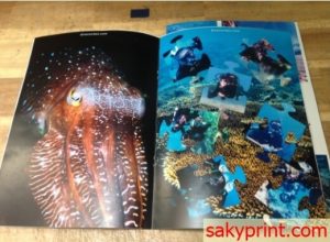 in tạp chí số lượng ít cần lưu ý những gì?